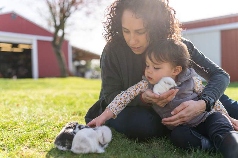 Mother and child pet bunnies outside their rural home.